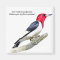 Red-Headed Woodpecker