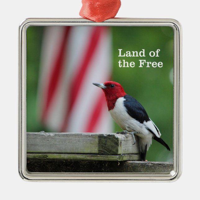 Red-headed Woodpecker Metal Ornament (Front)