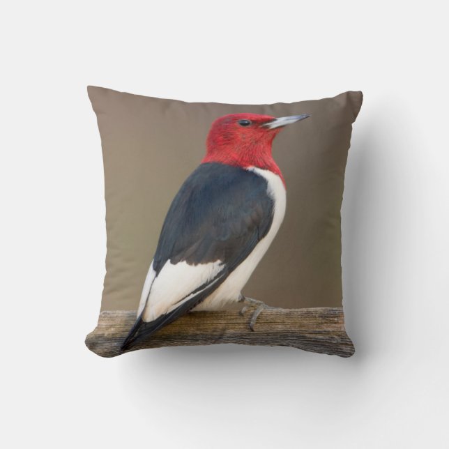 Red-headed Woodpecker on fence Throw Pillow (Front)