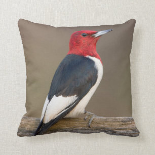 Red-headed Woodpecker on fence Throw Pillow