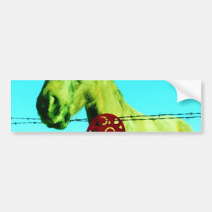 Red Heart and  Horse Bumper Sticker