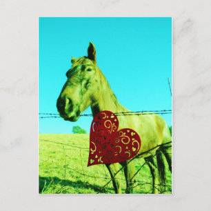 Red Heart and  Horse Postcard