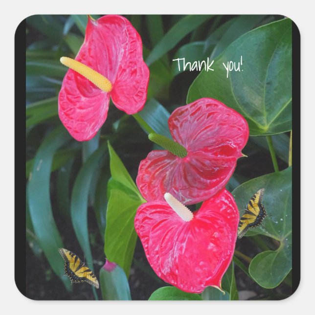 Red Heart Anthurium Plant Square Sticker (Front)