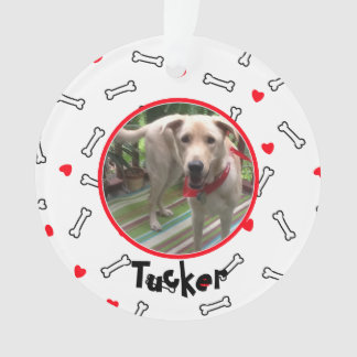 Red Hearts White Bones Photo Chien