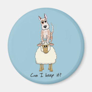 Red Heeler Backing Sheep Magnet