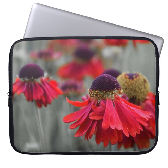Red Helenium in Selective Colours - Desaturated Laptop Sleeve (Front)