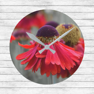 Red Helenium in Selective Colours - Desaturated Round Clock