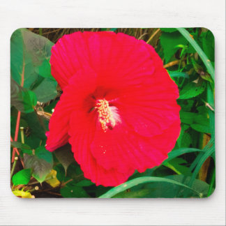 Red Hibiscu Mpouse Pad Mouse Pad