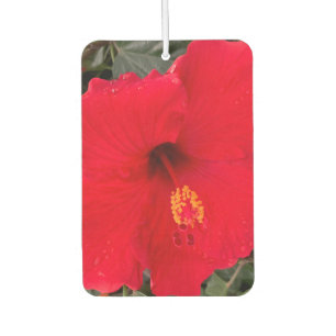 Red Hibiscus Air Frehener Freshener