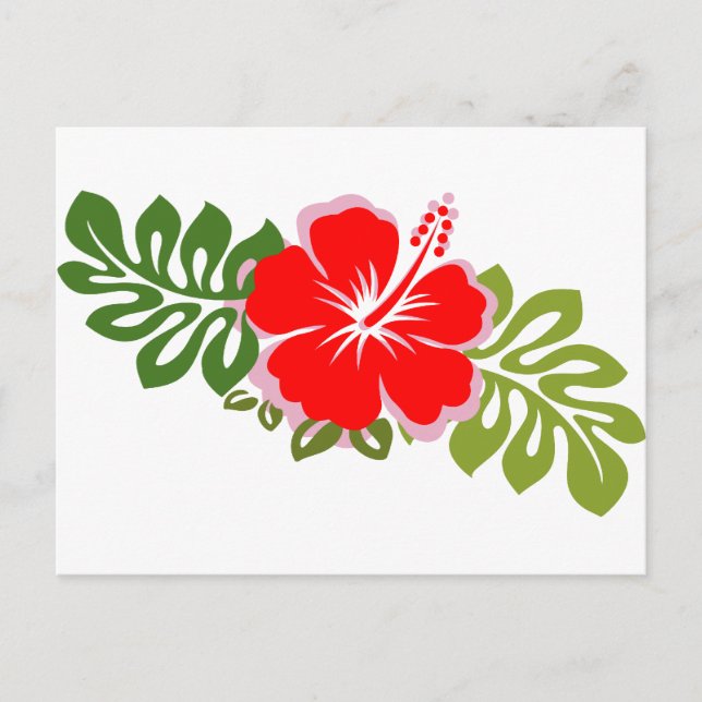 Red Hibiscus and Leaves Postcard (Front)