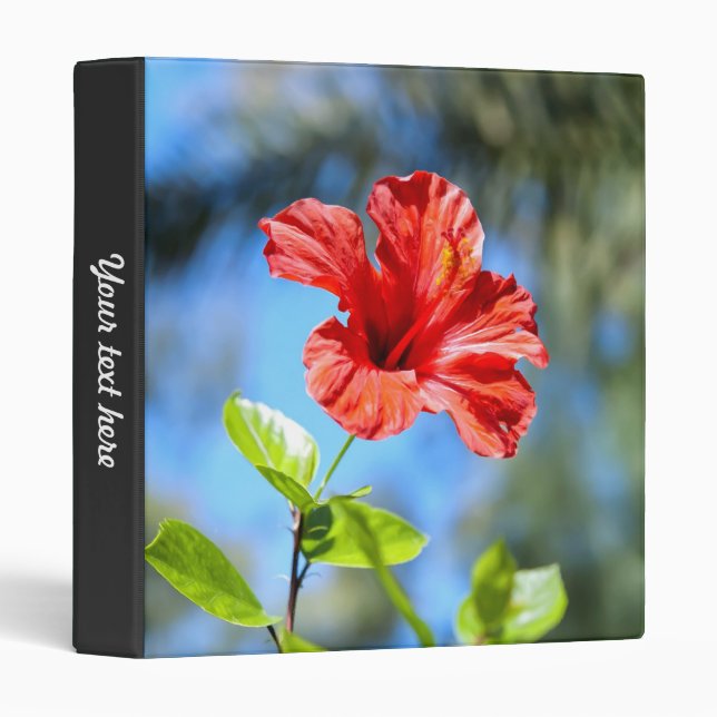 Red Hibiscus Binder (Front/Spine)