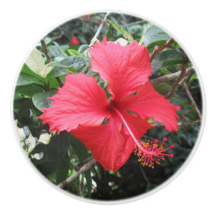 Red Hibiscus Drawer Knob