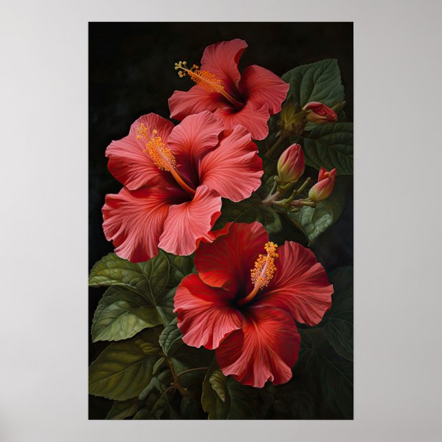 Red Hibiscus Flower Art Print Poster (Front)