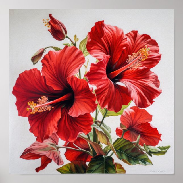 Red Hibiscus Flower Art Print Poster (Front)