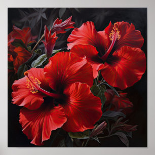 Red Hibiscus Flower Art Print Poster