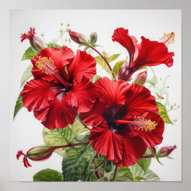 Red Hibiscus Flower Art Print Poster (Front)