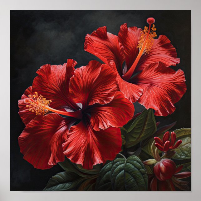 Red Hibiscus Flower Art Print Poster (Front)