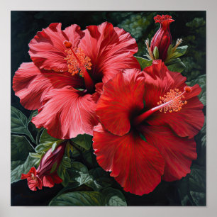 Red Hibiscus Flower Art Print Poster