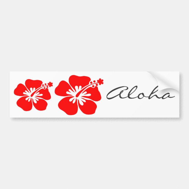 Red hibiscus flower bumper sticker (Front)