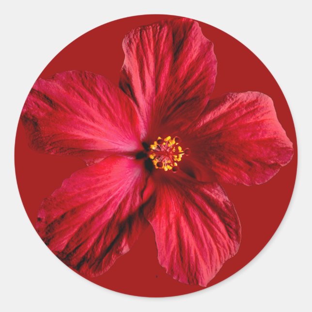 Red Hibiscus Flower Classic Round Sticker (Front)
