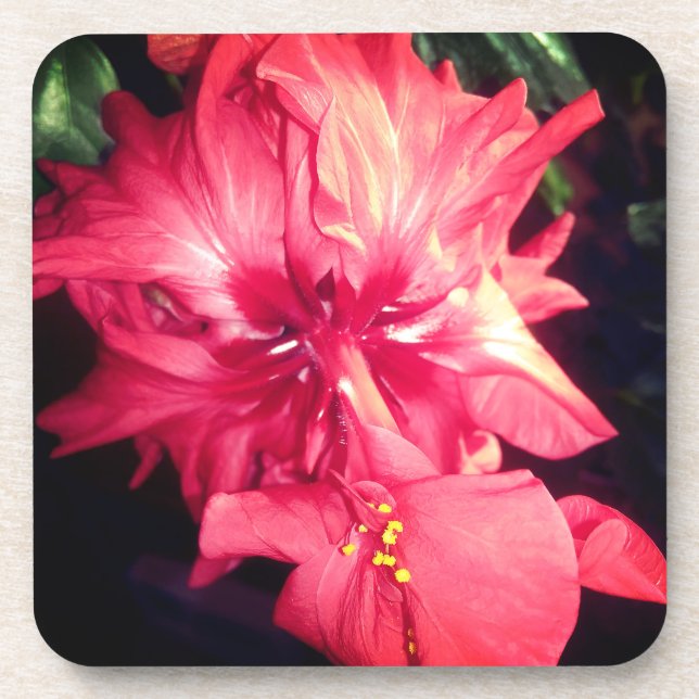 Red Hibiscus Flower Coaster (Front)