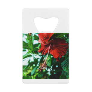 Red Hibiscus Flower Credit Card Bottle Opener