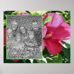 Red Hibiscus Flower Frame Add Your Photo Poster