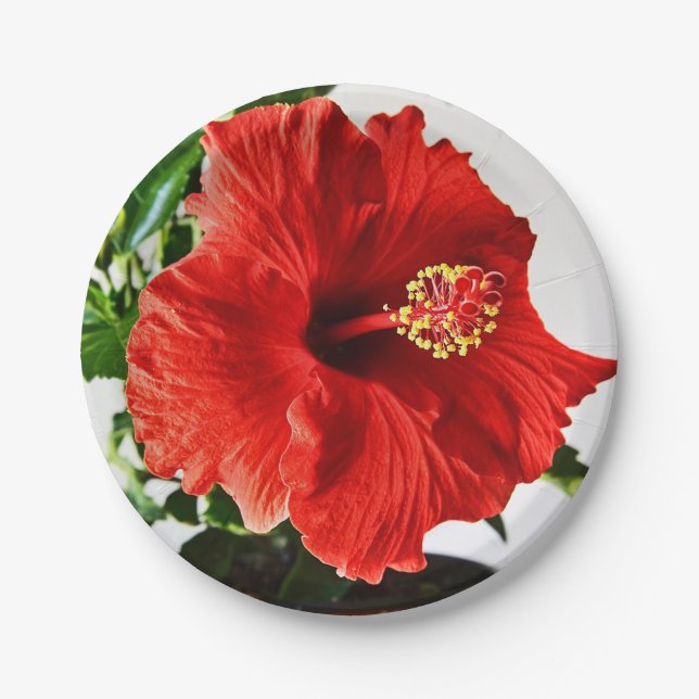 Red Hibiscus Flower Paper Plate (Front)