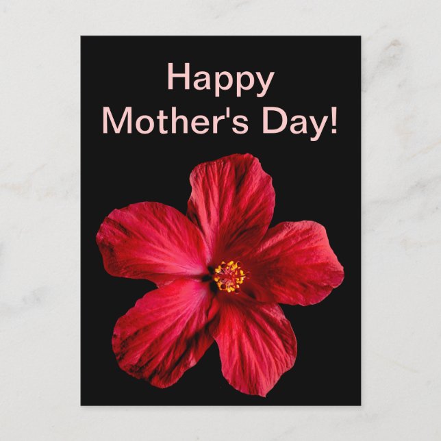 Red Hibiscus Flower Postcard (Front)