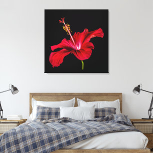 Red Hibiscus Flower Side View Canvas Print