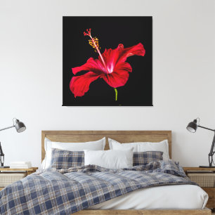 Red Hibiscus Flower Side View Canvas Print