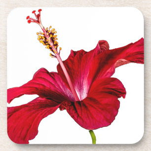 Red Hibiscus Flower Side View Coaster