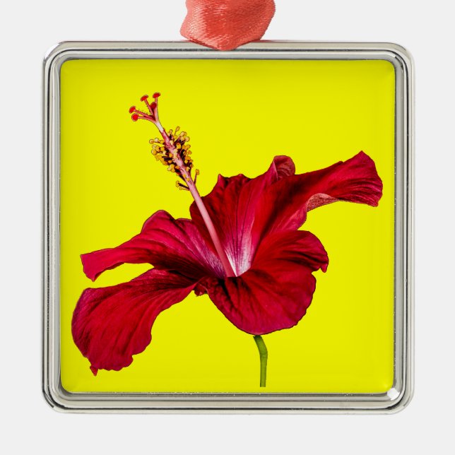 Red Hibiscus Flower Side View Metal Ornament (Front)