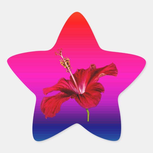 Red Hibiscus Flower Side View Star Sticker (Front)