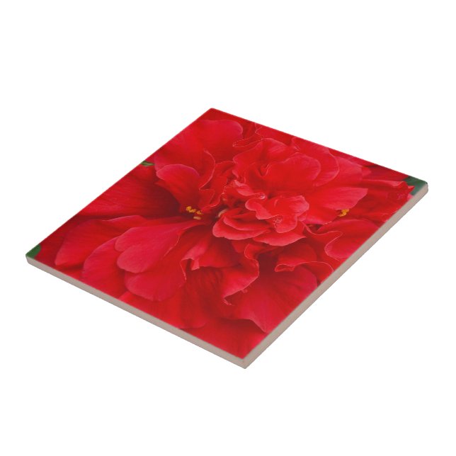 Red hibiscus flower tile (Side)