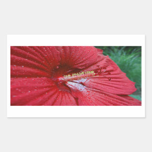 Red Hibiscus Flower With Raindrops Photo Sticker
