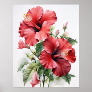 Red Hibiscus Flowers Art Print Poster