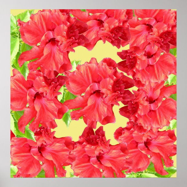 Red Hibiscus Flowers Poster Print (Front)