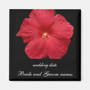 Red Hibiscus Magnet