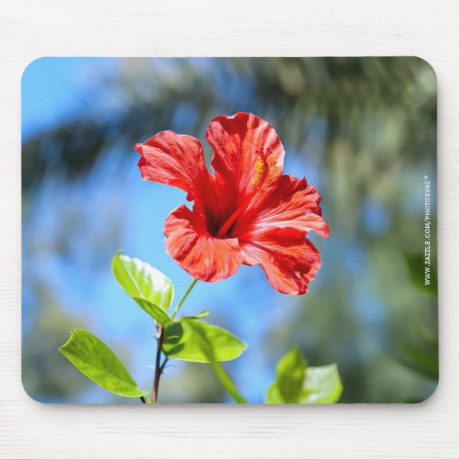 Red Hibiscus Mouse Pad (Front)