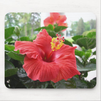 Red hibiscus mousepad