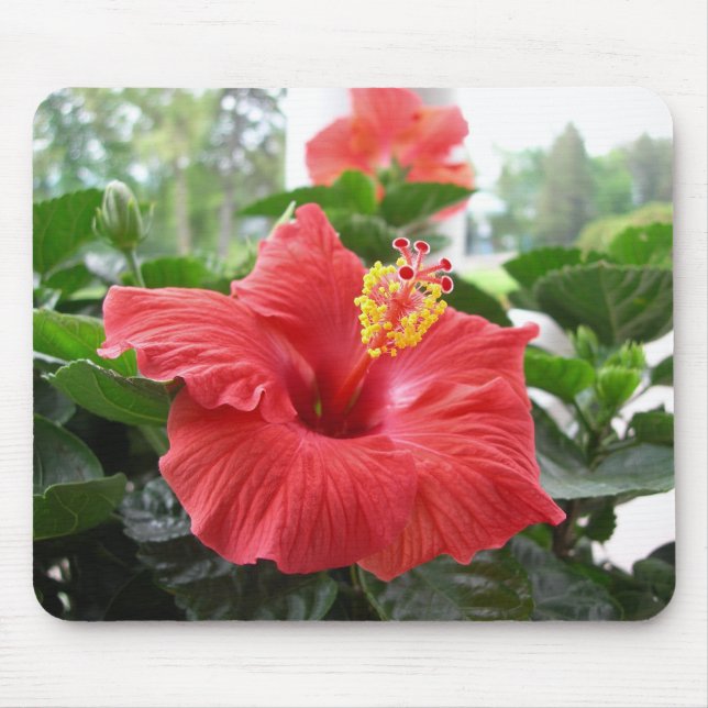 Red hibiscus mousepad (Front)