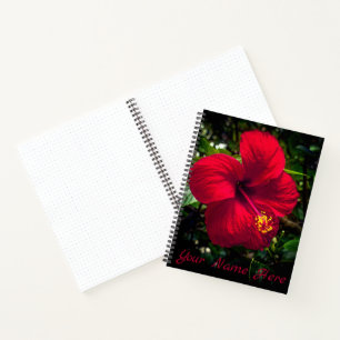 "Red Hibiscus" Notebook