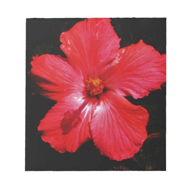 Red Hibiscus Notepad (Front)
