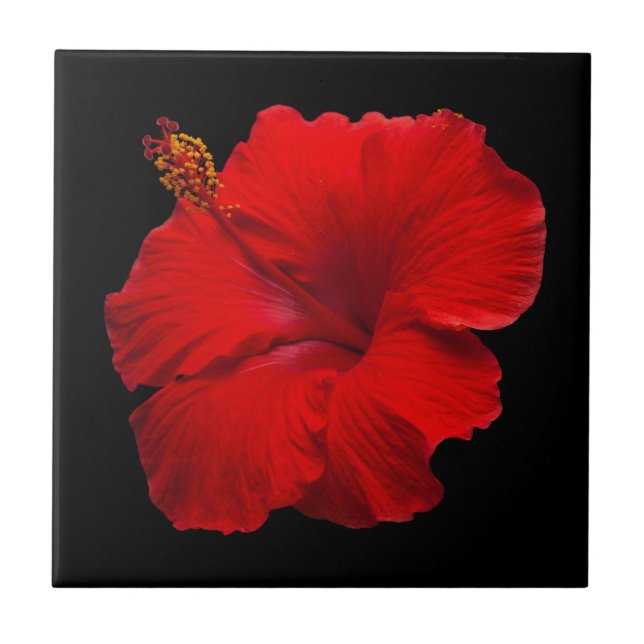 Red Hibiscus on Black - Customized Template Tile (Front)