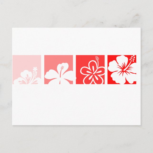 Red Hibiscus pastel design Postcard (Front)