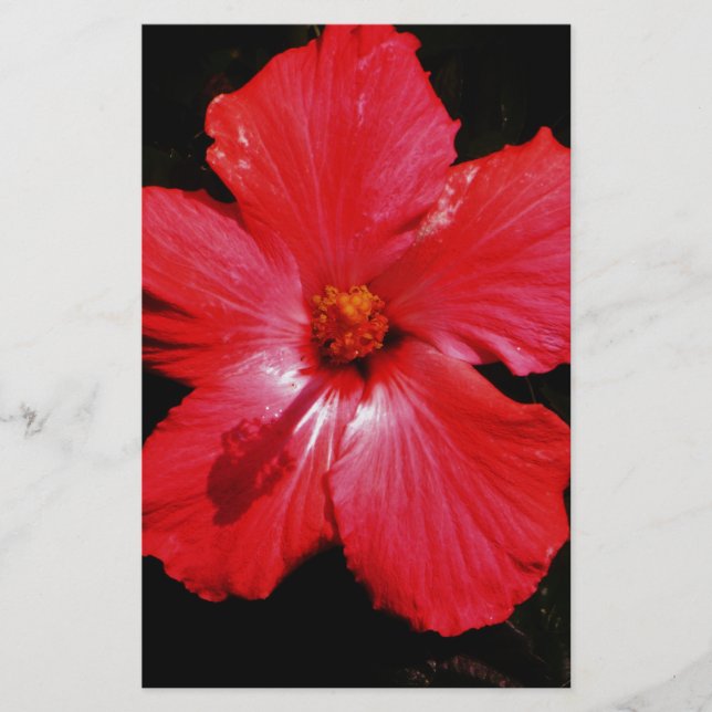 Red Hibiscus Stationery (Front)
