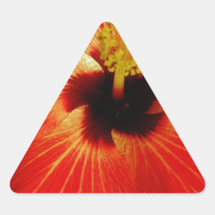 Red Hibiscus Triangle Sticker
