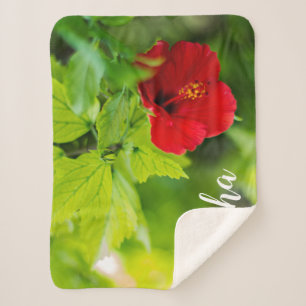 Red Hibiscus Tropical Flower Sherpa Blanket