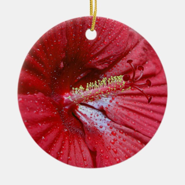 Red Hibiscus With Raindrops Ceramic Ornament (Front)
